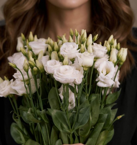 BEAUTYVISAGE_03.01.20263312